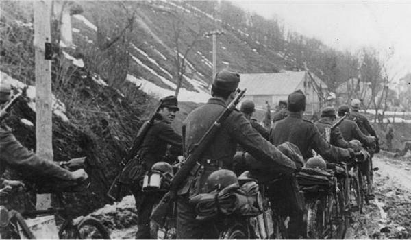 �������� ������������� ������ � ���������� Walther Gewehr 41(W)
