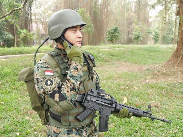 ��������� �������� Pindad SS2 V4